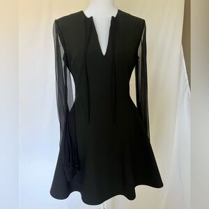 Elizabeth & James Black Dress with Sheer Silk Sleeves - Size: 4